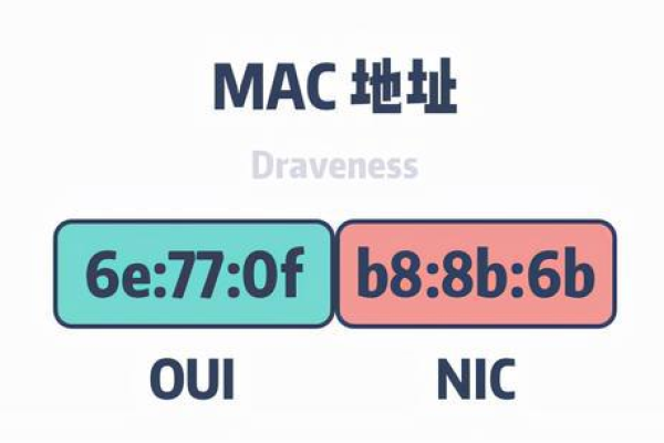 服务器MAC地址的作用和重要性是什么？