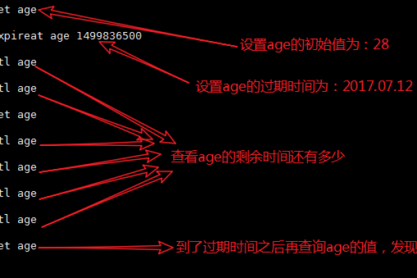 redis怎么重置失效时间