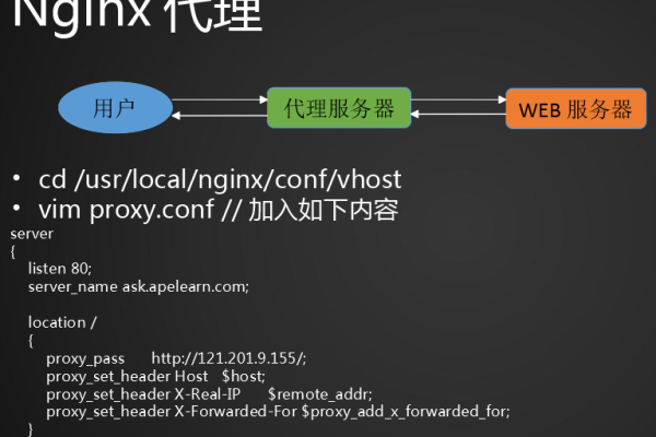 客户端设置host访问服务器nginx_NGINX访问中心  第1张