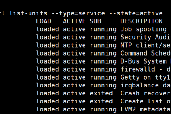 客户端运行服务器中的程序_在Linux环境中运行程序