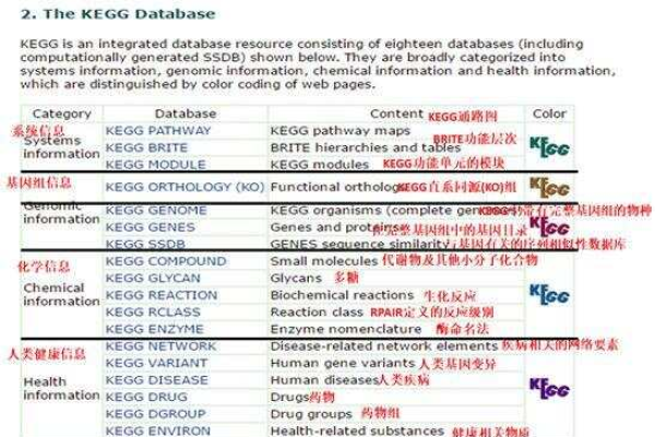 kegg通路分析_快速开通路网数字化服务