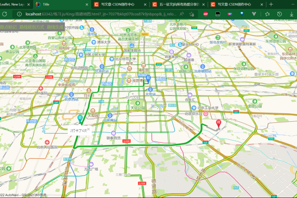 如何有效利用地图API进行路径规划与分析？