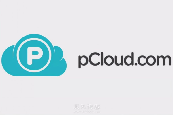 安卓app与云服务器_使用CloudCampus APP现场验收（安卓版）