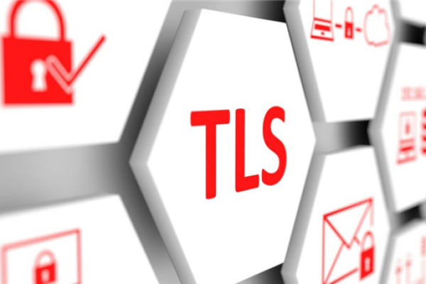 开启tls1.1_管理域名  第1张