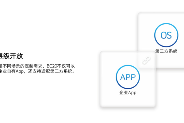 app定制_定制接口