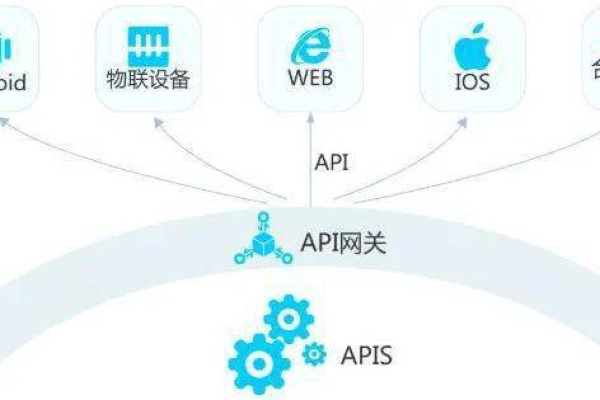 开放传输网络与开放API，如何推动技术革新与协作？