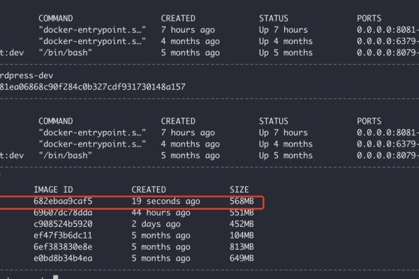 Docker命令入门，如何高效执行常见Docker操作？