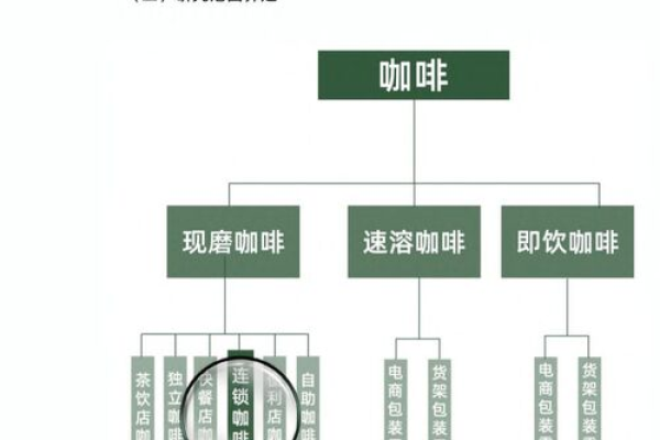 如何有效设置咖啡设计网站的选项关联以提升用户体验？  第1张