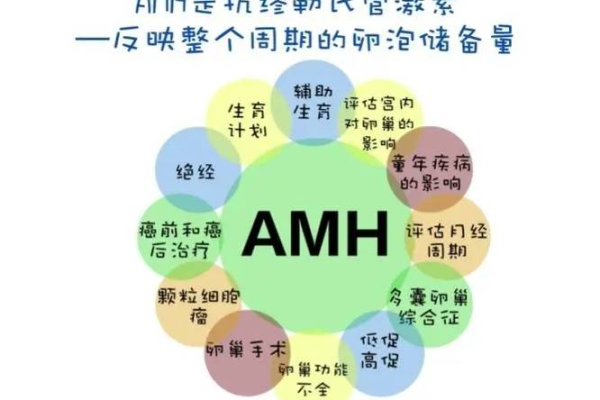 如何利用AMH实现快速建站？