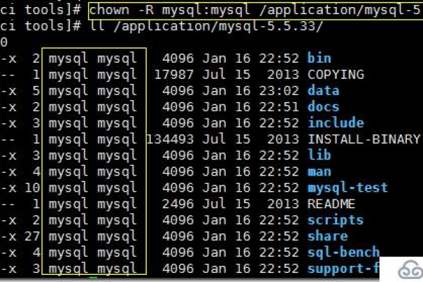 如何正确配置并使用MySQL启动脚本及其参数？