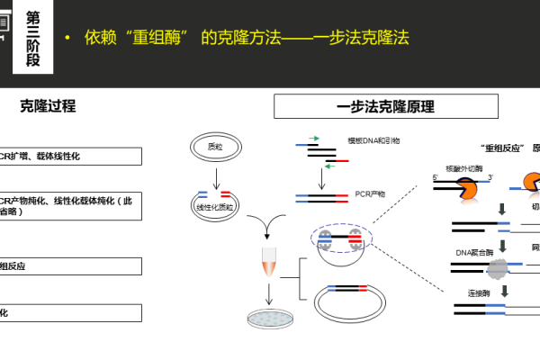 安全组克隆_克隆安全组