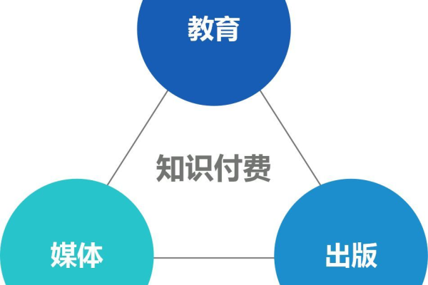 按量付费100_知识付费  第1张