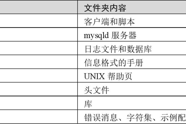 服务器子目录结构的外观与功能解析