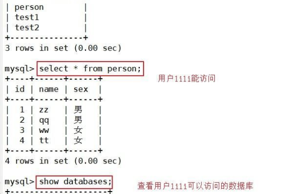 探索MySQL命令，Doris简介中有哪些实用技巧？  第1张