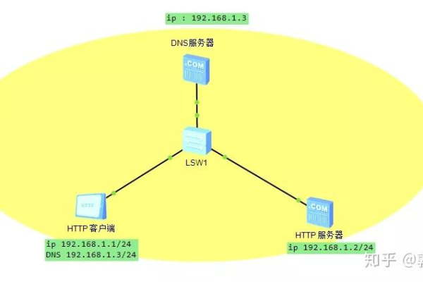 服务器与IP地址，它们之间的根本差异是什么？