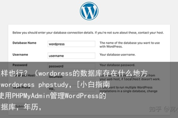 WordPress数据库存储位置解析，了解您的数据存放何处？  第1张