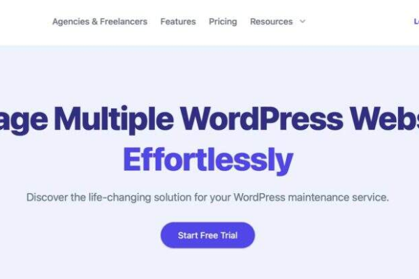 掌握WordPress: 如何高效使用这个强大的内容管理系统？  第1张