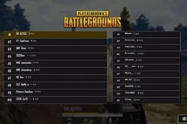 东南亚玩家通常在哪个服务器上体验PUBG游戏？