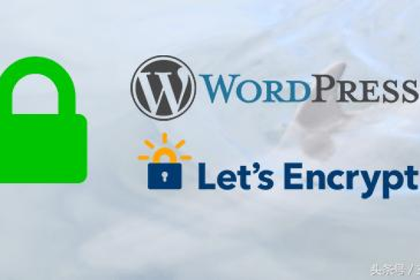 如何轻松启动WordPress？  第1张