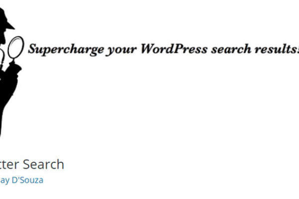 如何在WordPress中利用插件实现即时搜索功能？  第1张