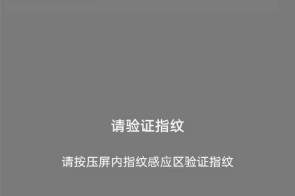 如何在阿里云盘中启用指纹解锁功能？  第1张