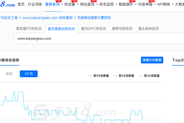 如何充分利用5118 SEO站长综合查询工具的全面功能？  第1张