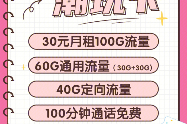 哪里可以办理30元100g的纯流量卡？