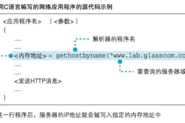 DNS区域文件在服务器上扮演什么角色？