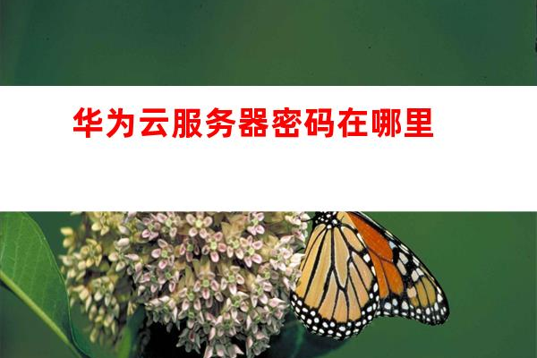 华为云服务器的默认登录密码究竟是怎样的？