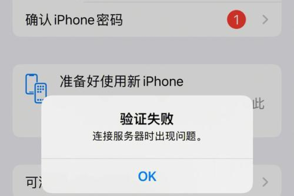 为何iPhone无法连接至服务器，常见故障排除指南