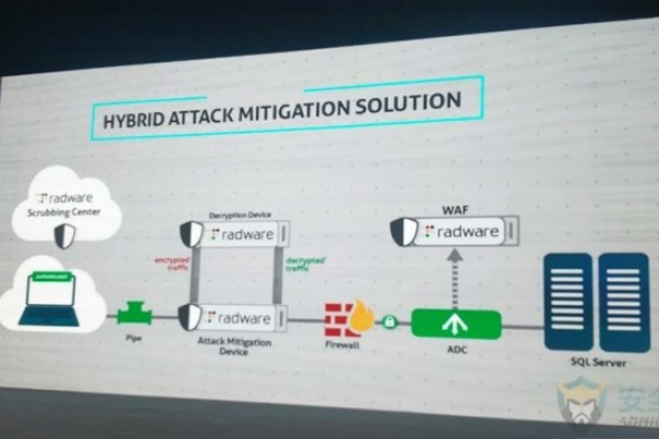 为什么即使服务器已关闭TLS 1.0，它仍然未能按预期生效？