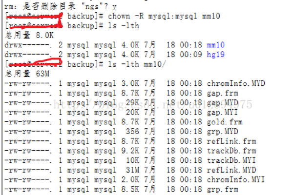 如何在MySQL数据库中打开拷贝的文件？