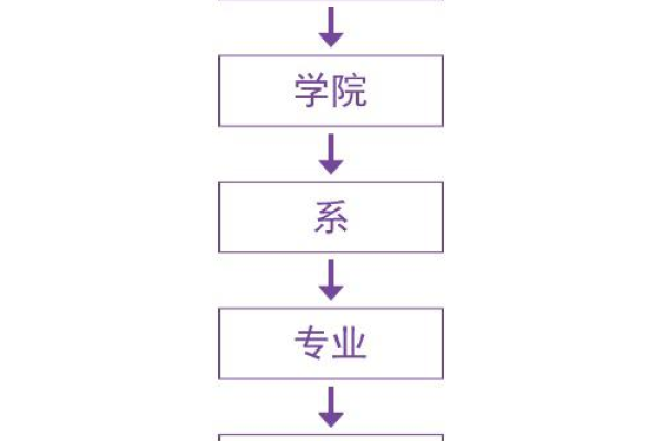 如何确保学院宣传网站的制作满足网站名称的具体要求？