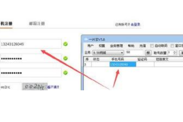 如何有效利用虚拟接收短信平台进行入库接收操作？