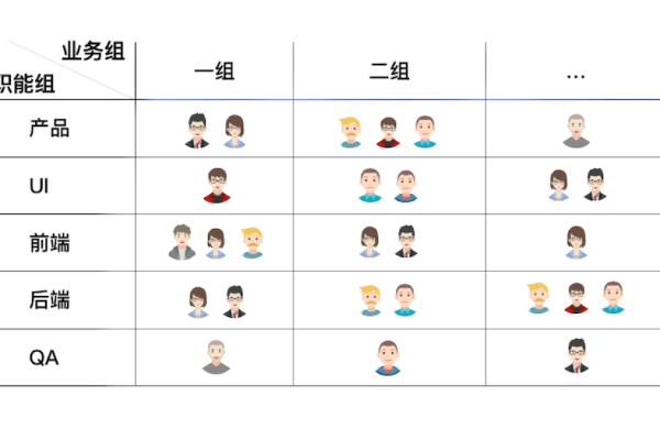 如何正确填写项目成员角色以优化团队协作？  第1张