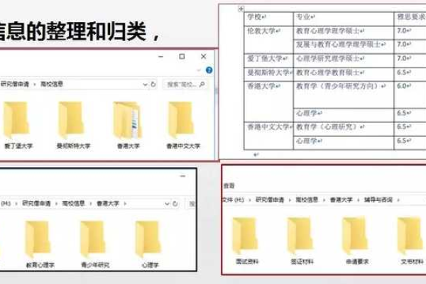 如何有效地进行信息分类并查询特定类别的信息？