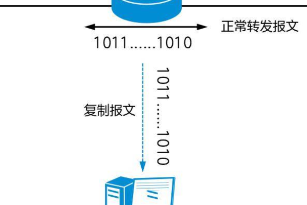 如何确保虚拟主机双线与云专线的无缝倒换测试成功？  第1张