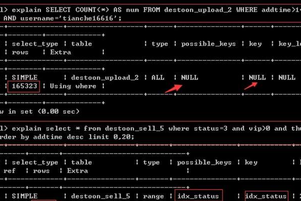 如何高效学习MySQL数据库使用教程？