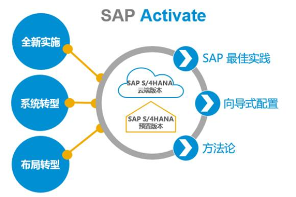 如何配置SAP S/4HANA服务器以优化虚拟主机性能？  第1张