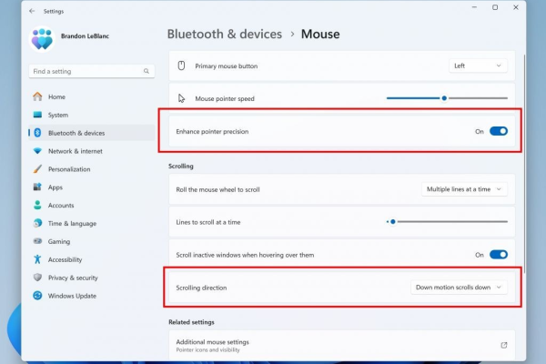 如何解决Windows 11更新后键盘持续失效的问题？  第1张