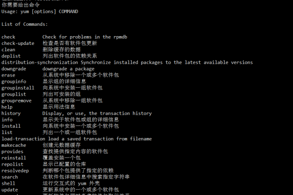 如何解决Linux系统中缺失的yum_yum命令参数问题？  第1张