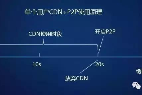 笨鸟CDN，是技术落后的象征还是另有深意？