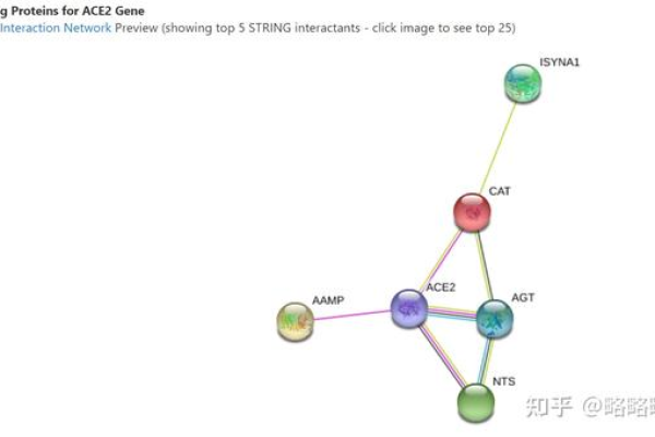 TargetScan数据库如何助力基因研究？