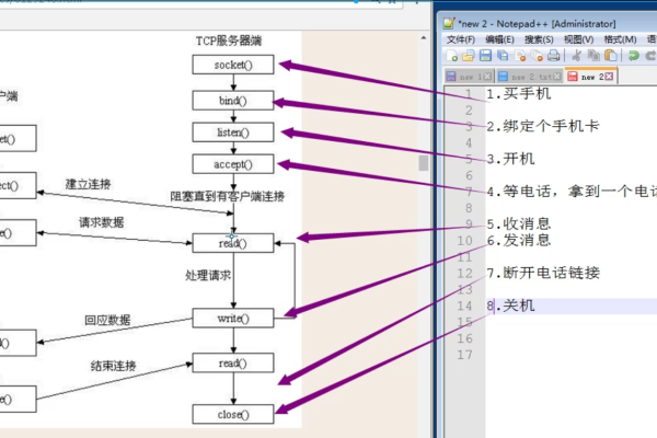 探索套接字编程，基本流程有哪些关键步骤？