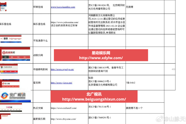 目前有哪些网站工作室在运营，它们对网站名称有何要求？