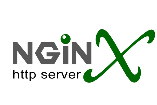 如何在Windows环境下成功安装并配置Nginx？