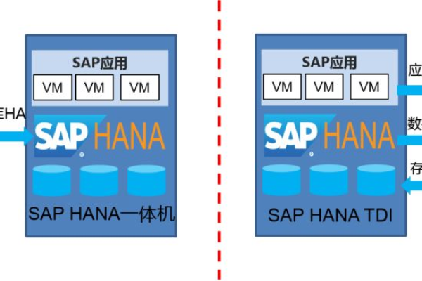 如何正确配置SAP S/4HANA服务器以提高虚拟主机性能？