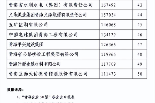 哪家西宁网站建设公司在区域排行中名列前茅？