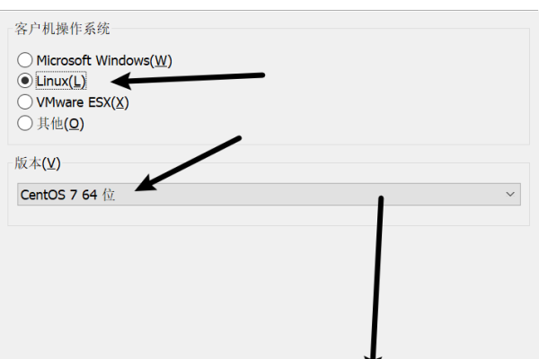 如何编辑香港Linux主机的授权设置？