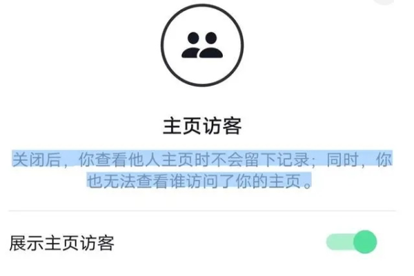 抖音平台是否提供查看访客记录的功能？